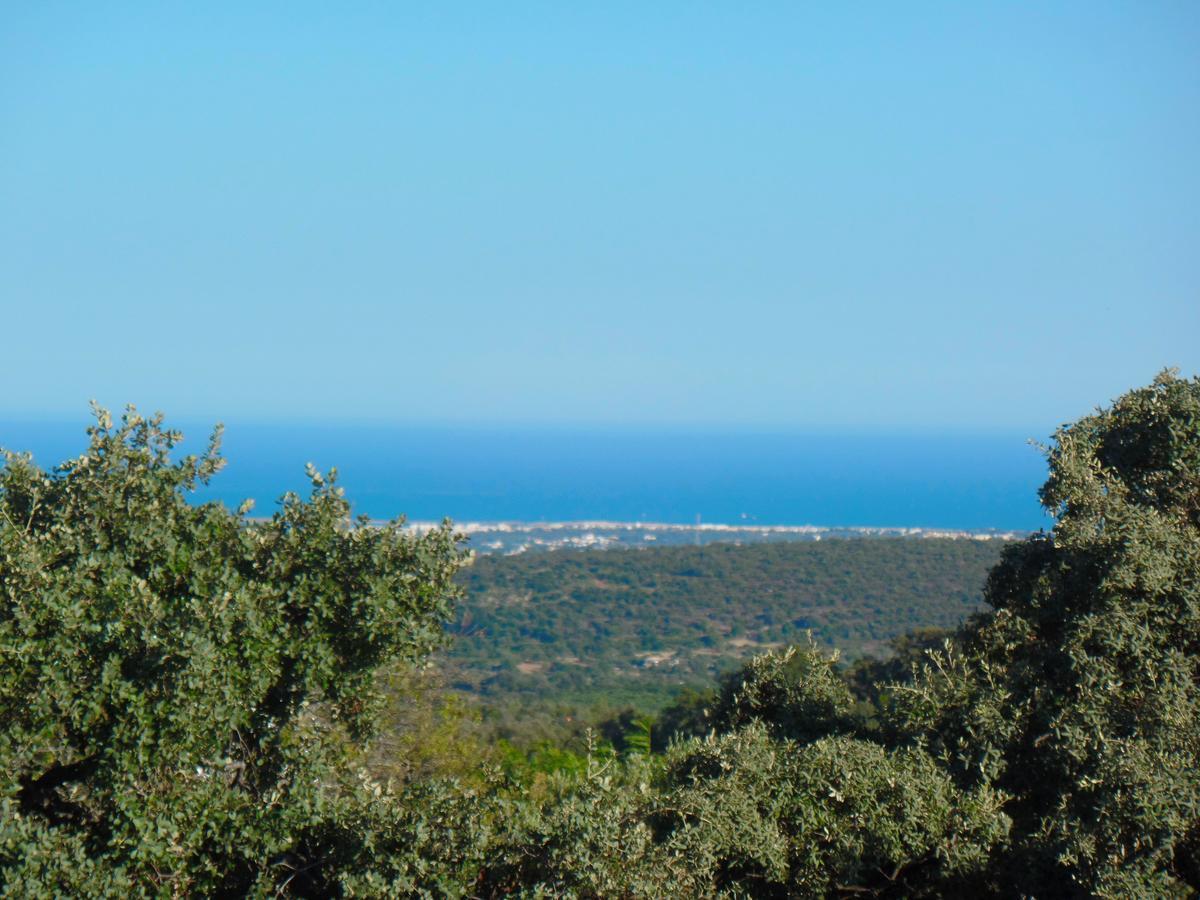 Panoramic Paradise Sao Bras de Alportel Exterior photo